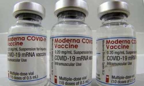 Mygga funnen i flaska med Moderna-vaccin