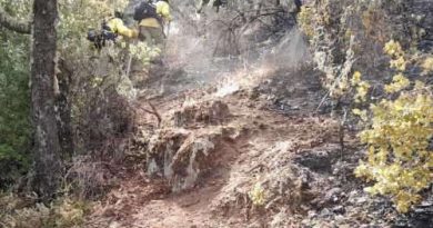 Pujerrabranden: Fyra misstänkta för grov vårdslöshet